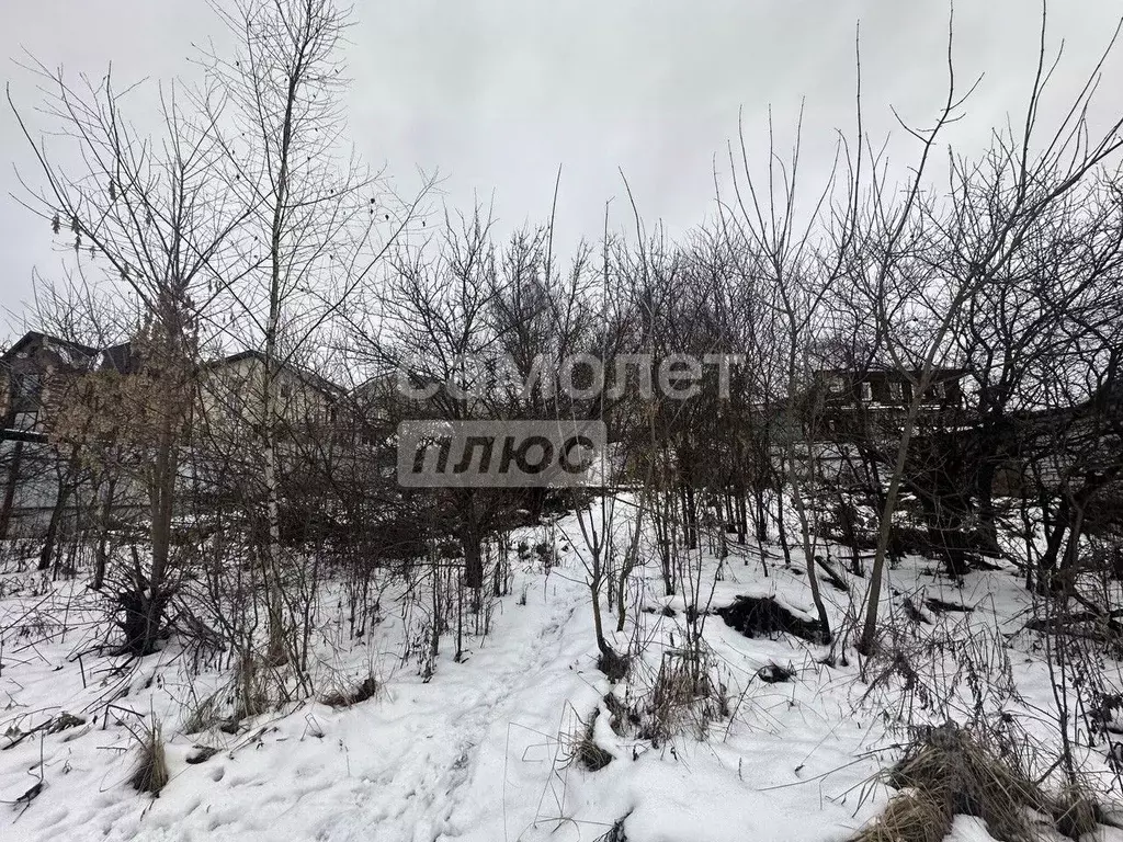 Участок в Нижегородская область, Бор ул. Ленина, 6 (7.53 сот.) - Фото 2