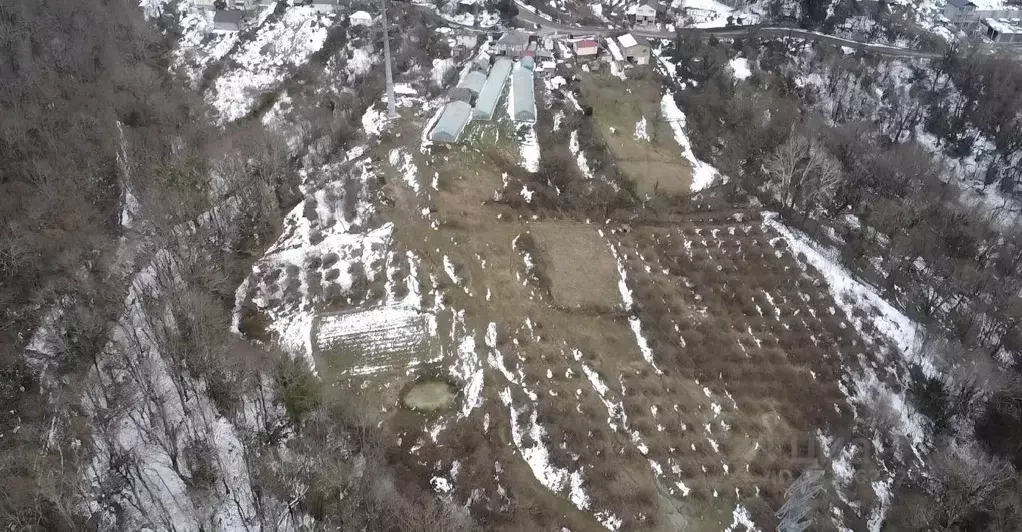 Участок в Краснодарский край, Сочи городской округ, с. Красная Воля ... - Фото 2
