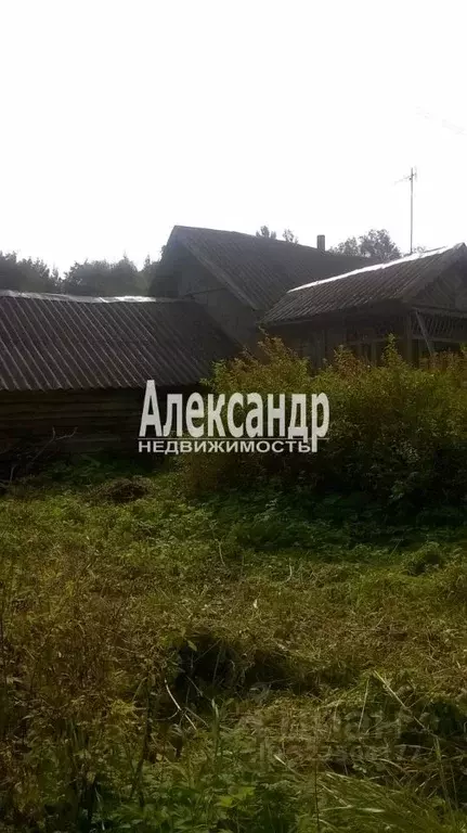 Дом в Псковская область, Порховский муниципальный округ, д. Ясно  (33 ... - Фото 2