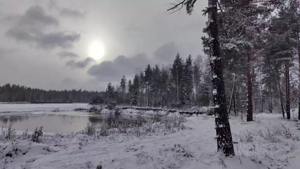 Участок в Московская область, Балашиха городской округ, д. Полтево  ... - Фото 0