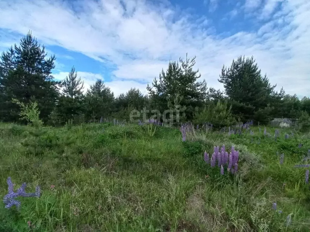 Участок в Владимирская область, Муром с. Лазарево, ул. Советская (12.0 ... - Фото 1