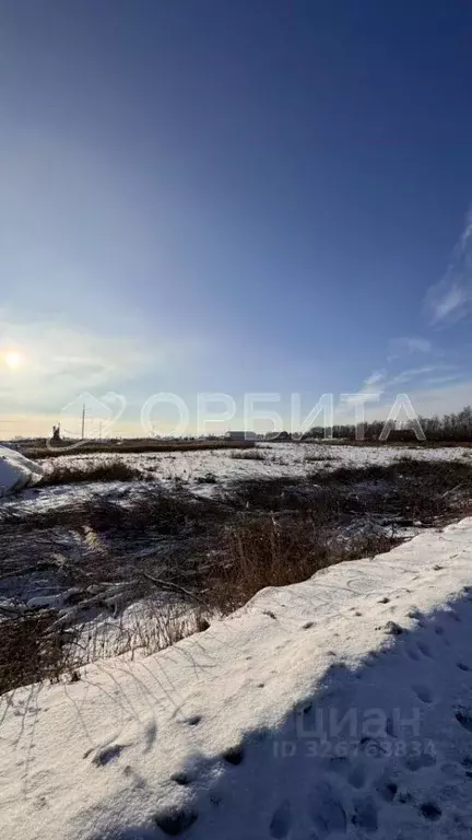 Участок в Тюменская область, Тюмень Велижанский тракт, 5-й км (100.0 ... - Фото 2