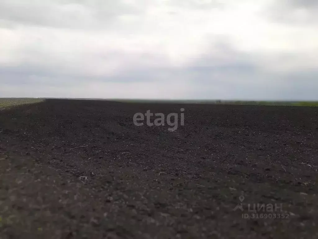 Участок в Белгородская область, Красногвардейский муниципальный округ, ... - Фото 1