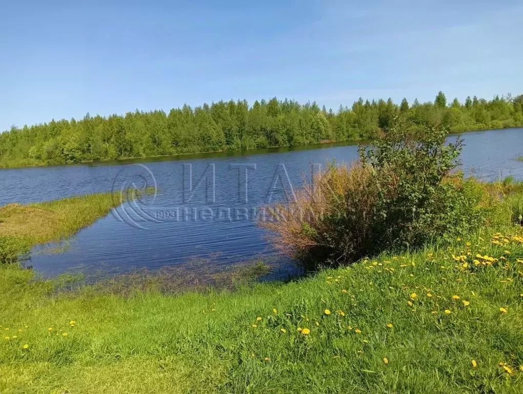 Дом в Ленинградская область, Лодейнопольский район, Доможировское ... - Фото 0