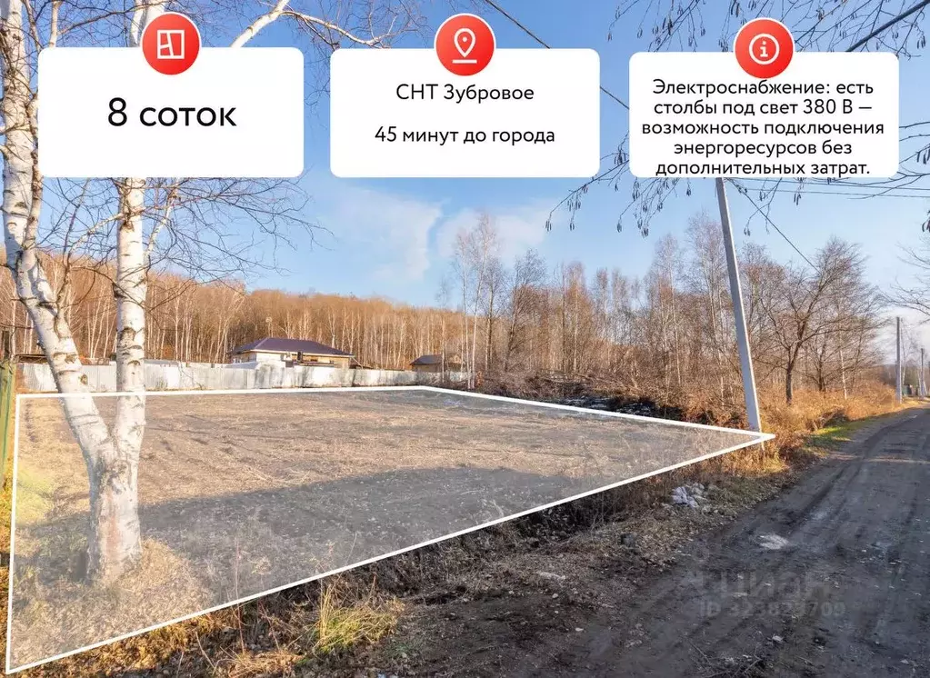 Участок в Хабаровский край, Хабаровский район, Зубровое СНТ 433 (8.0 ... - Фото 1