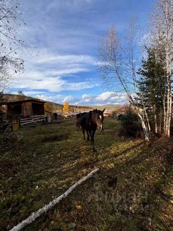 Дом в Иркутская область, Иркутский муниципальный округ, с. Малое ... - Фото 1