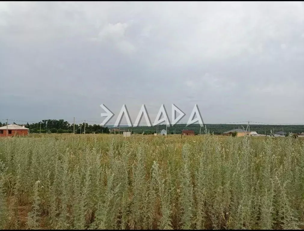 Участок в Ростовская область, Ростов-на-Дону Зодчий садоводческое ... - Фото 0