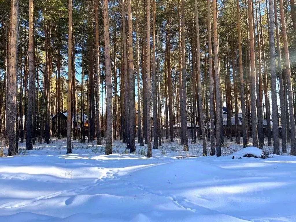 Участок в Свердловская область, Сысерть Родниковая ул. (20.0 сот.) - Фото 1