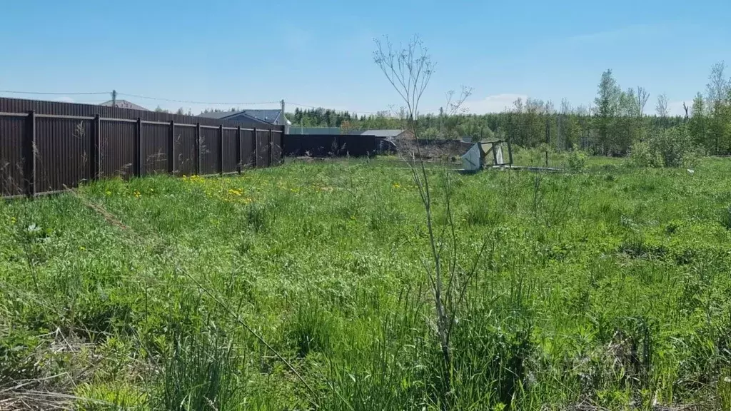 Участок в Московская область, Истра городской округ, д. Котово, Балтия ... - Фото 1