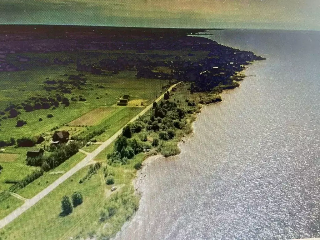 Участок в Псковская область, Гдовский район, с. Чернево  (1160.0 сот.) - Фото 1