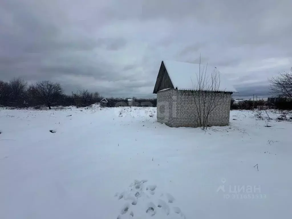 Участок в Брянская область, Брянский район, Мичуринское с/пос, ... - Фото 0