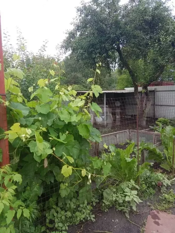 Дом в Курская область, Курск ул. 5-я Кислинская, 170 (50 м) - Фото 2