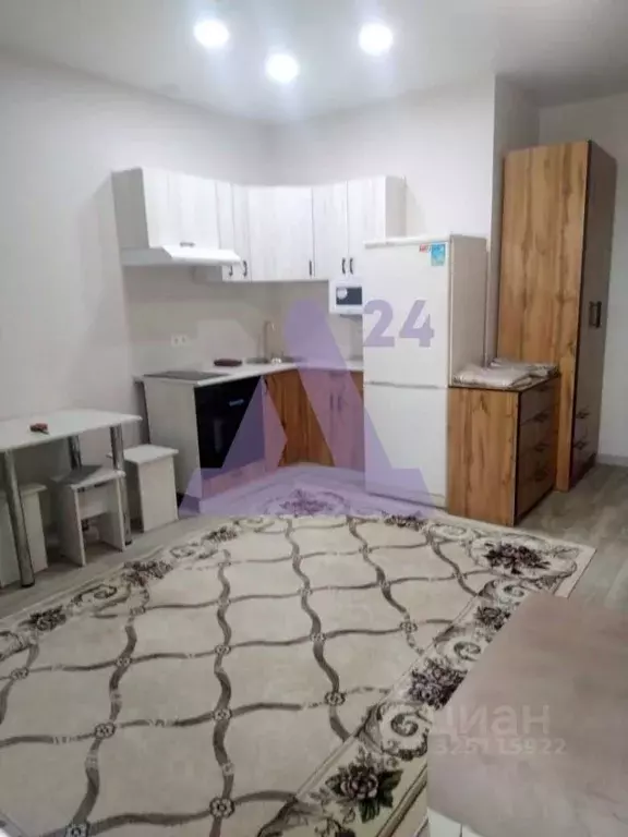 Студия Алтайский край, Барнаул тракт Павловский, 196к4 (26.1 м) - Фото 2