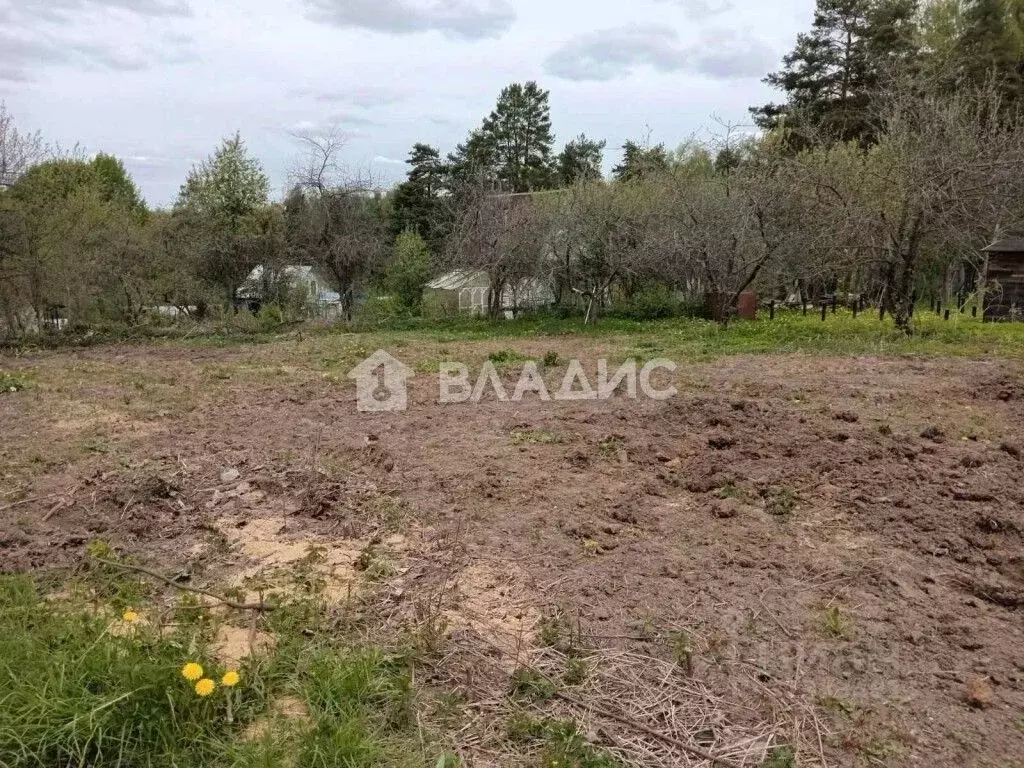 Участок в Владимирская область, Суздальский район, Новоалександровское ... - Фото 0