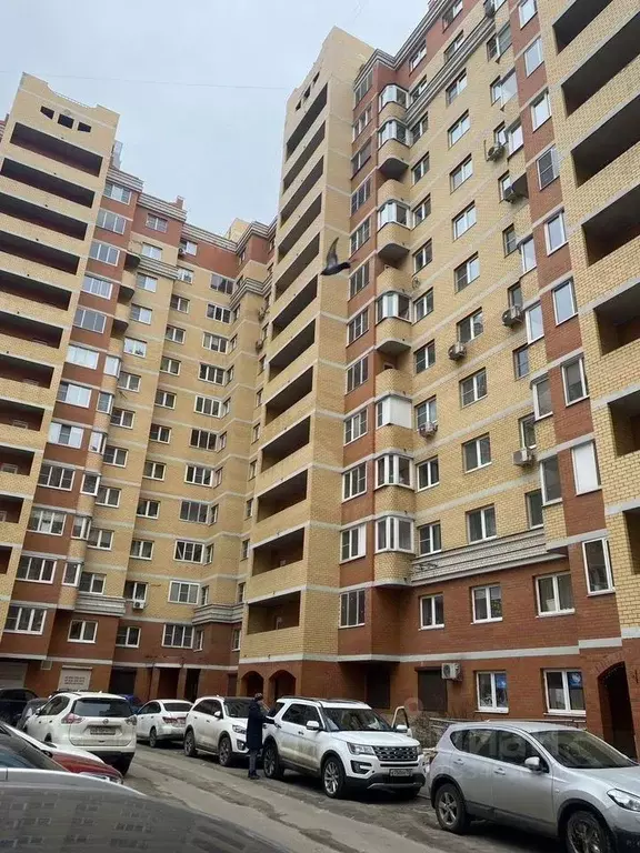 3-к кв. Московская область, Пушкино Новая Деревня мкр, Набережная ул., ... - Фото 1