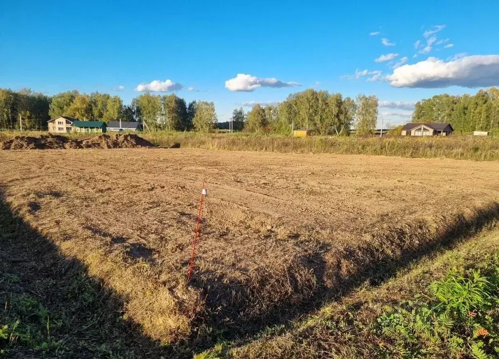 Участок в Московская область, Ступино городской округ, д. Ламоново, ... - Фото 1