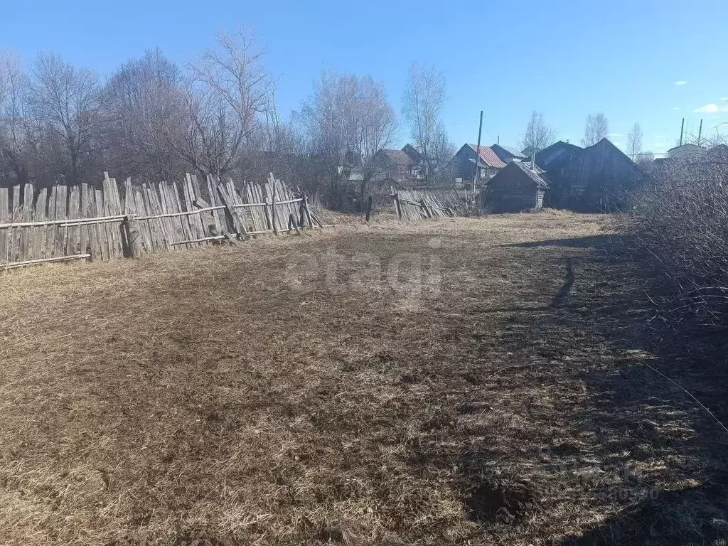 Участок в Нижегородская область, Арзамас городской округ, с. Криуша ... - Фото 0