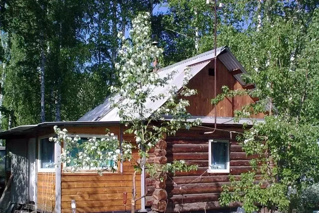 Участок в Челябинская область, Сосновский муниципальный округ, ... - Фото 1