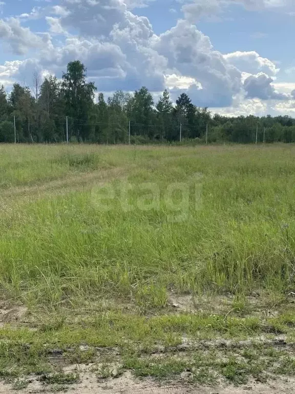 Участок в Тюменская область, Тюменский муниципальный округ, ... - Фото 1