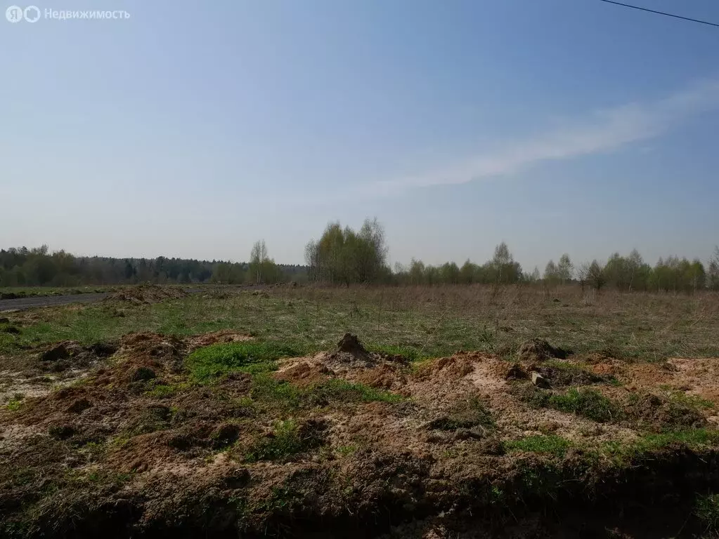 Участок в Московская область, Дмитровский муниципальный округ, ... - Фото 1