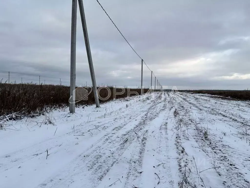 Участок в Тюменская область, Тюменский район, с. Кулига, Кулига-2 мкр  ... - Фото 0