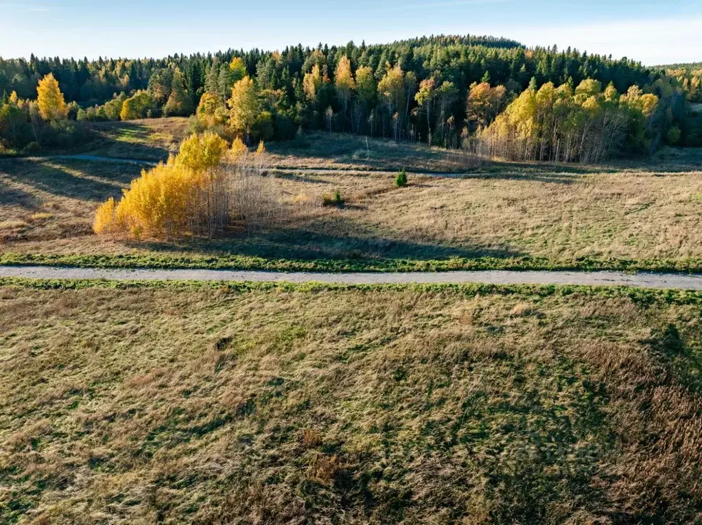 Участок в Карелия, Питкярантский муниципальный округ, пос. Ляскеля, ... - Фото 1