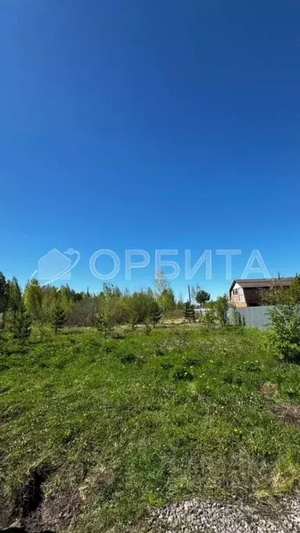 Участок в Тюменская область, Тюменский район, Исток СНТ ул. ... - Фото 1