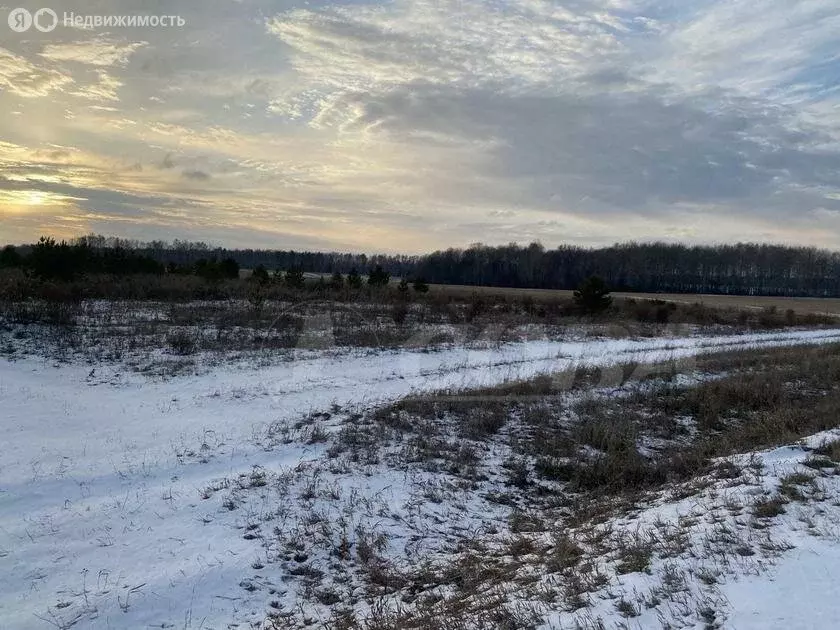 Участок в Тюменский муниципальный округ, село Каменка (15 м) - Фото 1