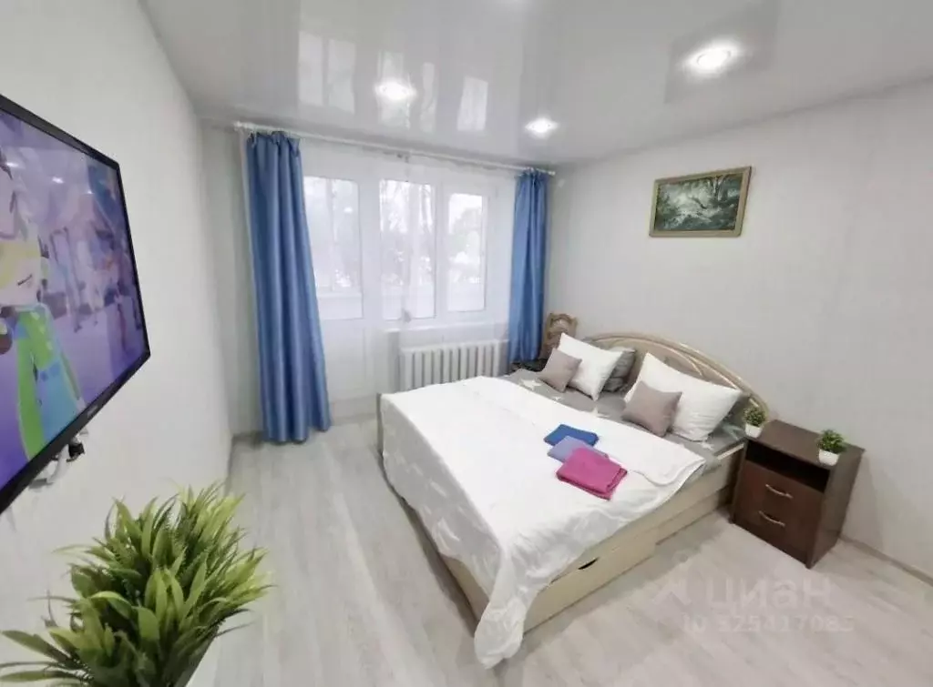 1-к кв. Московская область, Пушкинский городской округ, Софрино пгт ... - Фото 1