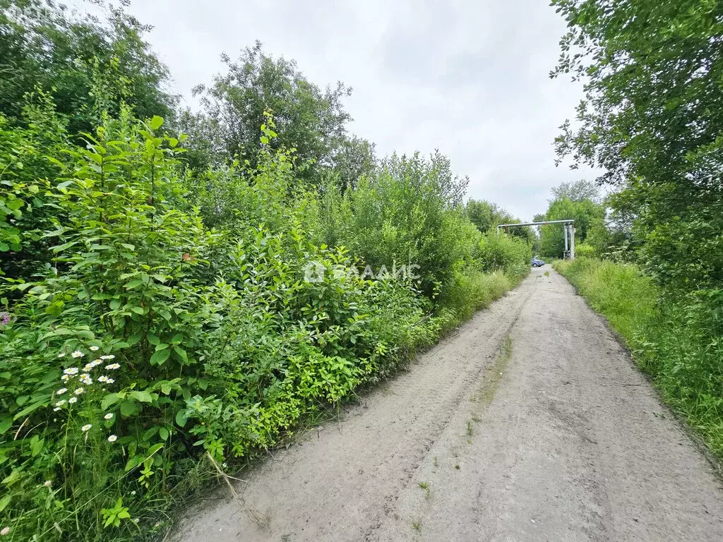 Участок в Прионежский район, село Заозерье (8.24 м) - Фото 2