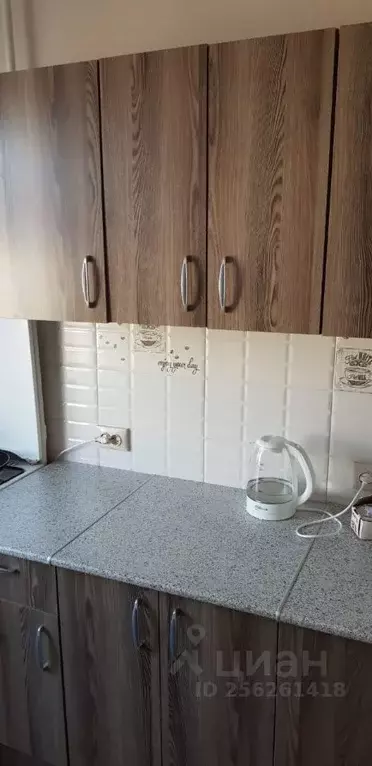 1-к кв. Московская область, Ногинск Богородский городской округ, ул. ... - Фото 1