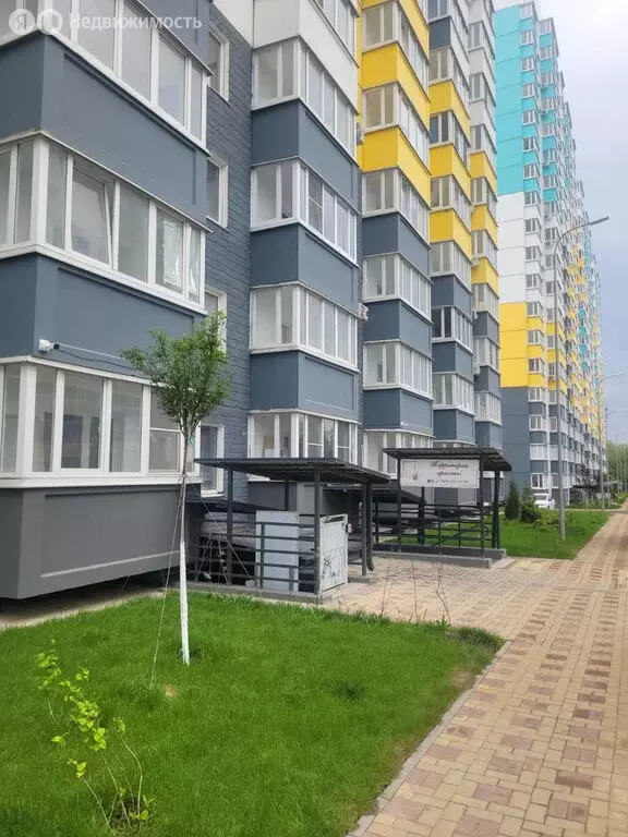 Помещение свободного назначения (12 м) - Фото 0