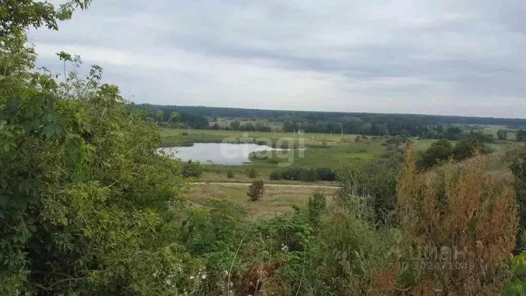 Участок в Воронежская область, Рамонский район, с. Березово ... - Фото 0