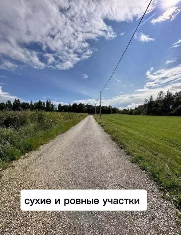 Участок в Ленинградская область, Гатчинский муниципальный округ, д. ... - Фото 1