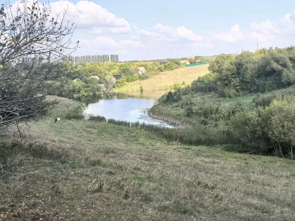 Дом в Воронежская область, Семилукский район, Латная рп ул. Луговая, ... - Фото 1