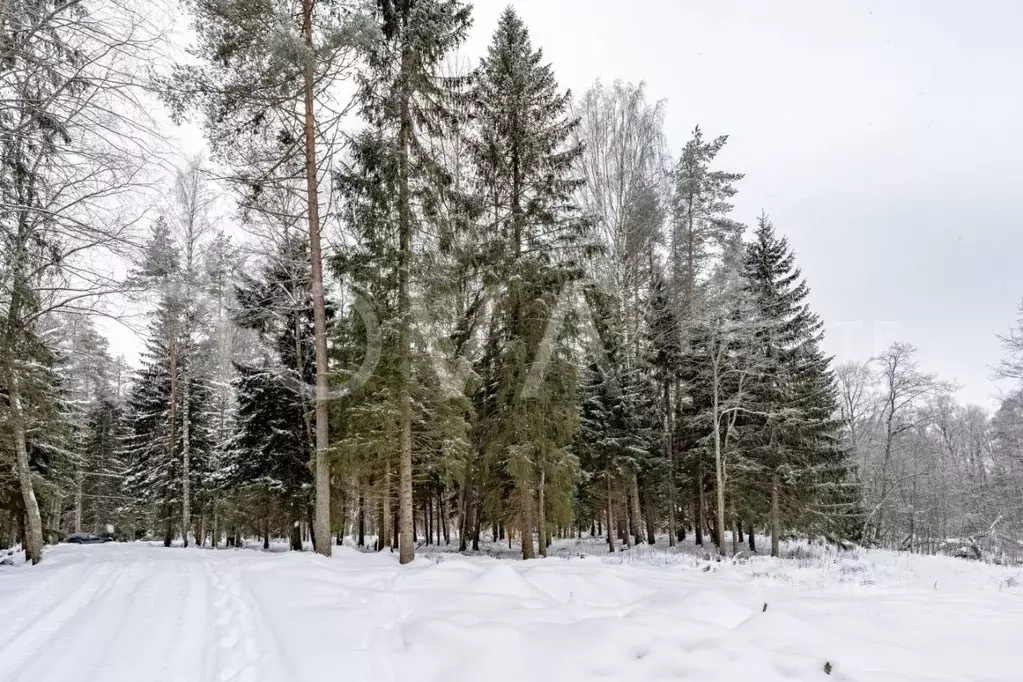 Участок в Ленинградская область, Выборгский район, Первомайское с/пос, ... - Фото 1