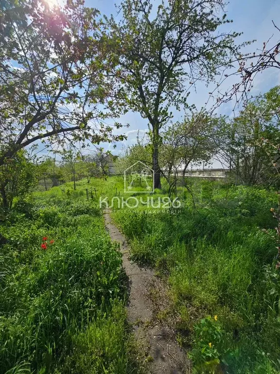 Дом 65 м на участке 9 сот. - Фото 1