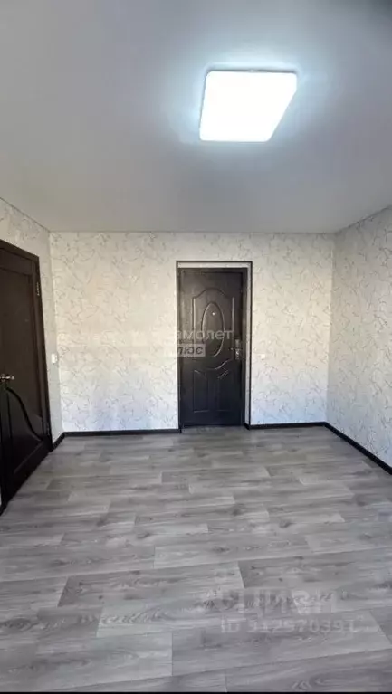 Комната Алтайский край, Рубцовск ул. Дзержинского, 16 (24.1 м) - Фото 0