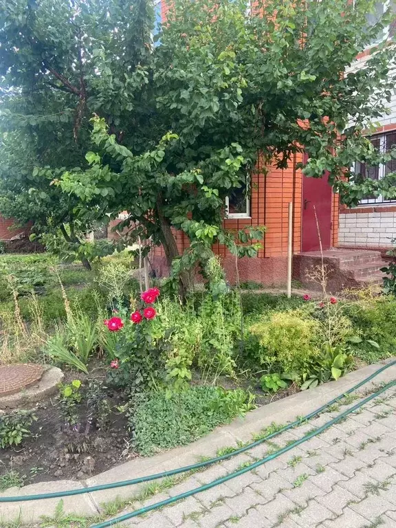 1-к. квартира, 26 м, 1/2 эт. - Фото 0