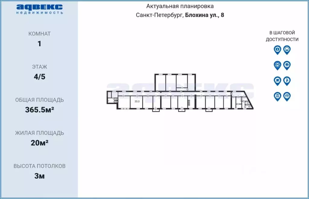 Комната Санкт-Петербург ул. Блохина, 8 (20.0 м) - Фото 1