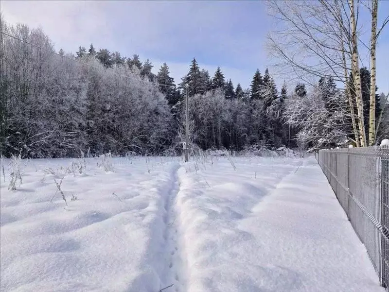 Участок в Ленинградская область, Гатчинский муниципальный округ, д. ... - Фото 1