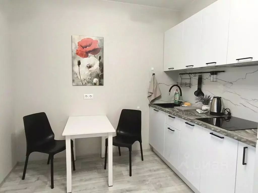 1-к кв. Санкт-Петербург пос. Шушары, просп. Старорусский, 5к1 (25.0 м) - Фото 2