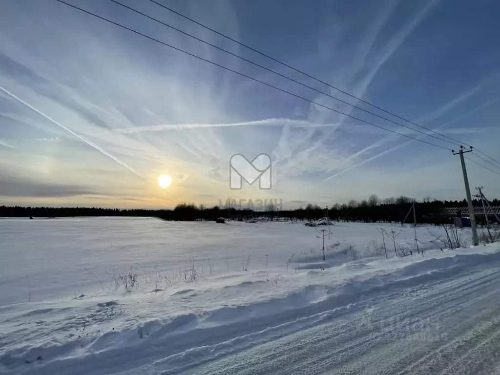 Участок в Ленинградская область, Волосовский район, Клопицкое с/пос, ... - Фото 1