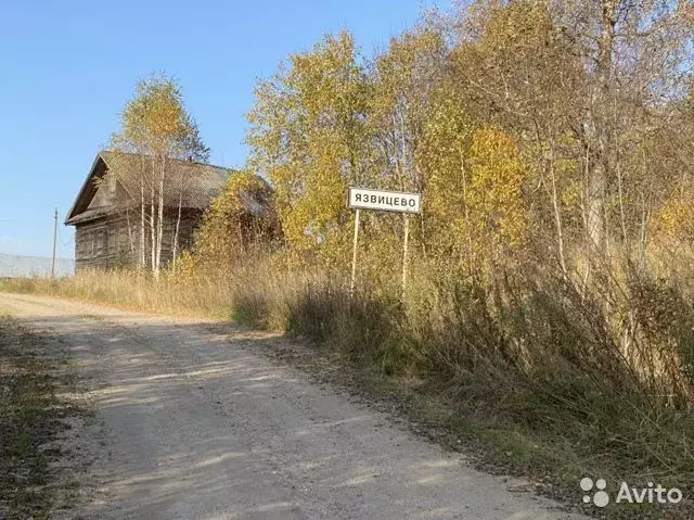 Глава 4 На новом месте камчадалка Дзен
