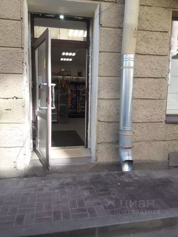 Торговая площадь в Санкт-Петербург Чкаловский просп., 21 (50 м) - Фото 0