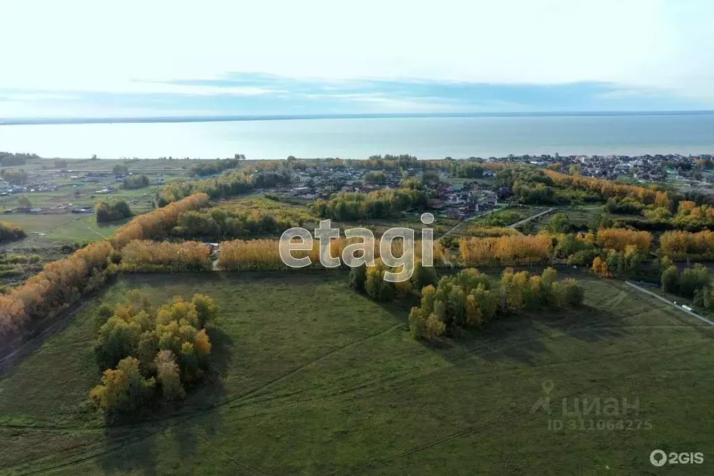 Участок в Новосибирская область, Новосибирский район, Морской ... - Фото 1