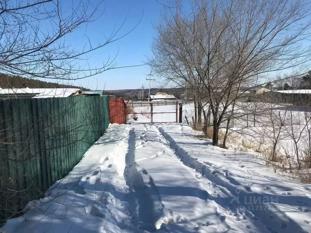 Участок в Амурская область, Благовещенский район, с. Чигири  (6.0 ... - Фото 0