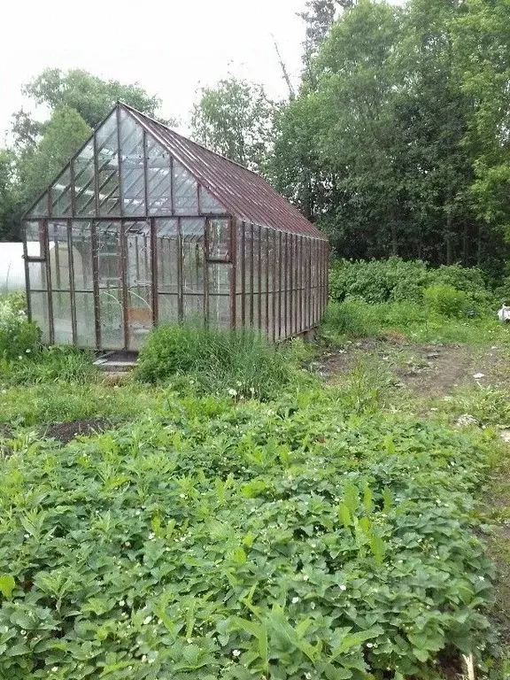 Дом в Костромская область, Костромской район, Самсоновское с/пос, ... - Фото 2