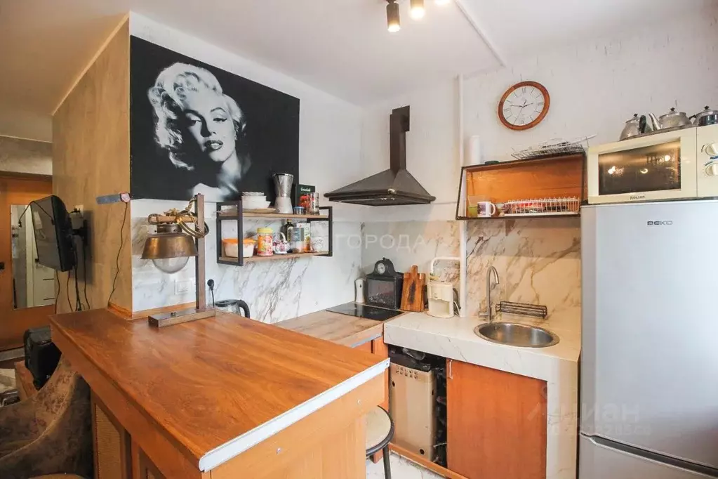 Студия Алтайский край, Барнаул ул. Димитрова, 81 (28.0 м) - Фото 1