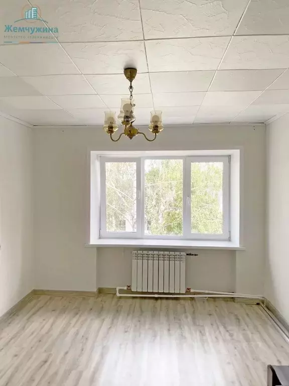1-к кв. Ульяновская область, Димитровград ул. М. Тореза, 3А (17.72 м) - Фото 0